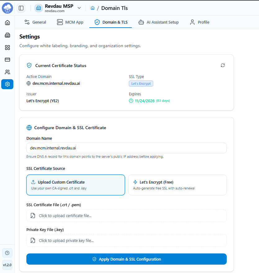 Domain & TLS Configuration Settings UI